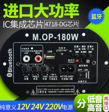 High-Power Built-in Bluetooth Subwoofer Amplifier Board Speaker Mainboard 220V 12V 24V Home Car Use