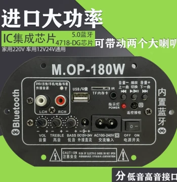 High Power Built-in Bluetooth Subwoofer Amplifier Board Speaker Audio Mainboard 220V 12V 24V Home Car Use