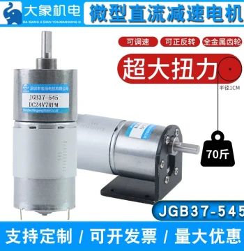 Motor DC Gear Motor 12V 24V Micro Motor Adjustable Speed 545 Low-Speed Small Motor
