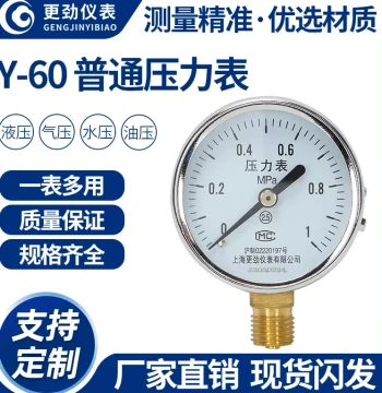 Gengjin Instrument Y60 Standard Pressure Gauge Radial Water Pressure Air Pressure Tap Water 1.6MPa Vacuum Gauge Hydraulic Gauge