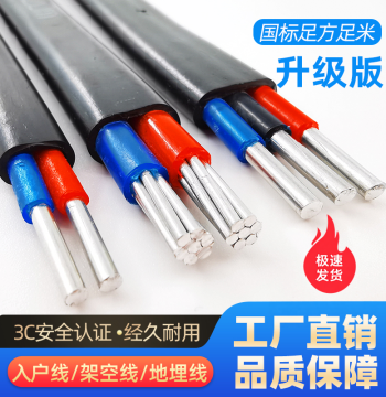 National Standard 2-Core/3-Core Aluminum Core Cable for Household Outdoor Use, 2.5/4/6/10/16/25 sq.mm Aluminum Wire with Sheath