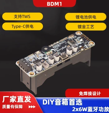 BDM1 Bluetooth Amplifier Board BT5.0 Module 2.0 Stereo 2x6W Built-in Lithium Battery Charging TYPE-C