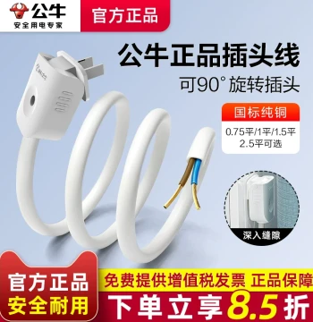 Bull National Standard Power Cord Household Pure Copper 2 Core Cable Copper Core Sheathed Wire Power Line with Plug Connection Wire