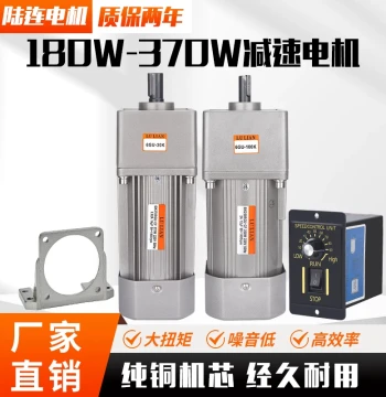 Lulian 200W 250W Gear Reduction Motor, Speed Control AC 220V Constant Speed, 300W 370W Single Phase 180W Motor