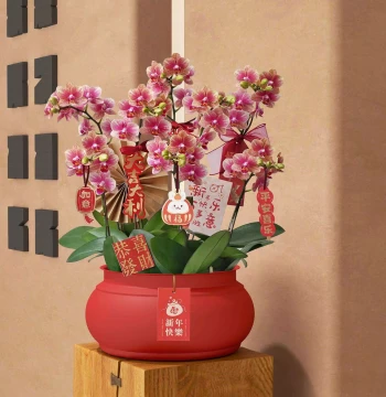 New Phalaenopsis Orchid Pot, Large Cymbidium, Silver Willow, Winterberry Artificial Flowers, New Year Flower Fortune Bucket Arrangement, Treasure Bowl Vase