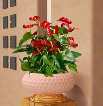 Electroplated Hammered Round Disc Iron Art Flower Pot Planter, Phalaenopsis Orchid Pot, Metal Nordic Plant Stand, Holly Planter for Green Plants Imitation