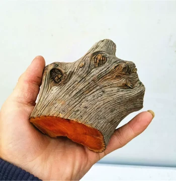 Handheld Taihang Cliff Cypress Raw Material, Aged Black Oil with Milky Scent and Tiger Stripe Pattern Bracelet, Natural Weathered Wood Slingshot Root Carving