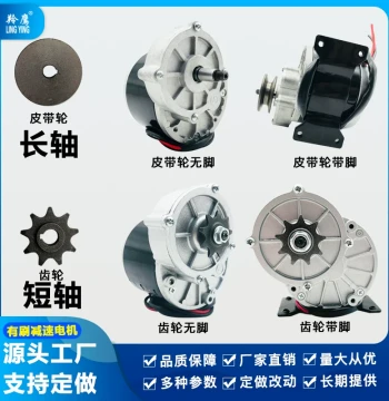 Lingying 12V 24V 36V 250W 350W Brushed Gear Reduction Motor MY1016Z2 Same as Unite Long Shaft Gear