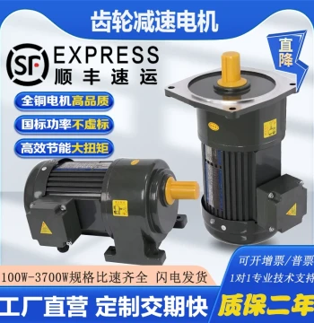 Changli Gear Reduction Motor 380V Vertical Horizontal VFD Speed Control Motor 400/750W Three-Phase Variable Speed Motor
