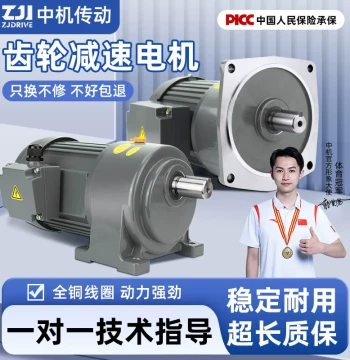 Gear Reduction Motor 380V Horizontal/Vertical 400W 750W VFD Speed Control Three-Phase Motor with Gear Reducer