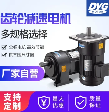 Factory DYG Toyo Small AC Gear Reduction Motor, Three-Phase Vertical, 380V Forward/Reverse, 220V 750W