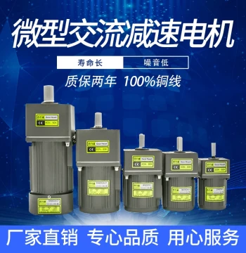 6W-400W Gear Adjustable Speed Reduction Motor for Mask Making Machines (6W, 15W, 25W, 40W, 60W, 120W, 180W, 200W, 250W, 300W, 400W)