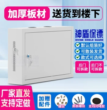 Aegis Bodyguard Wall-Mount Network Cabinet 2U Chassis 2U Rack Wall-Mount Switch 3U Cabinet Small Wall-Mount Cabinet 4U Cable Management Router Optical Modem UPS Battery Circuit Breaker Custom Made