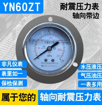 Free Shipping Axial Flanged Vibration-Resistant Pressure Gauge YN60ZT Oil/Hydraulic/Water/Air Pressure 0-1.6MPA-60MPA