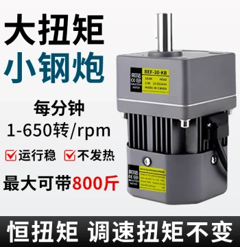 Compact High-Efficiency Constant Torque Speed Control Motor: AC 220V 120W Permanent Magnet Synchronous Gear Reduction Silent Motor