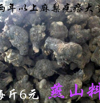Raw Material of Mali Gedda, Mali Gedda Slingshots, Mali Gedda Bracelets, Unprocessed Root Carving, Rhamnus Roots, Mali Gedda Wood
