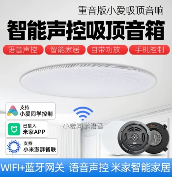 Heavy Bass Smart Ceiling Speaker with Xiao Ai Voice Control, Wireless WiFi, Bluetooth Audio, and Song Selection