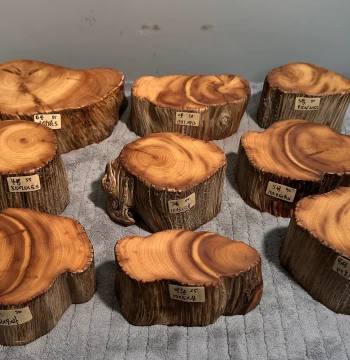 Ancient Style Original Bark Polished Base Block Aromatic Material Excellent Quality High Cliff High Altitude Taihang Premium Cypress