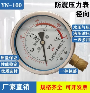 Vibration-Resistant Pressure Gauge YN-100 Water/Hydraulic/Oil/Air Pressure 0-0.6/1.6/4/16/25/60MPA