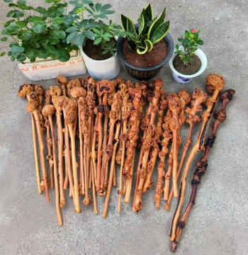 Yunnan Black Fruit Wood Burl Raw Stick, Practical Back Massager Handle, Root Carving Craft Ornament, Self-Defense Cane