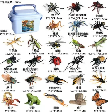 Children's Toys Simulation Animal Insect Models Bee Mosquito Rhinoceros Beetle Butterfly Grasshopper Locust Cricket Mantis Bug