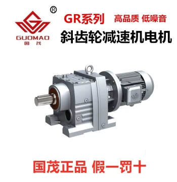 Guomao Full Series GR Hardened Helical Gear Reducer, Horizontal & Vertical Industrial Mixing Units and Accessories, Gearbox Motor
