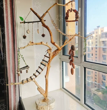 Natural Bark-Removed Branch Raw Wood Parrot Perch Stand, Small Bird Stand, Artistic Lamp Stand, Bird Training Stand, Swing Bird Cage