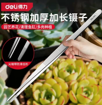 Deli Stainless Steel Tweezers: Extended Long-Nose Forceps for Retrieval, Fish Tanks, Turtle Feeding, Gardening, and Succulents