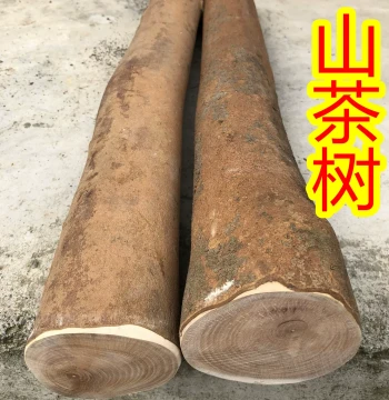 Raw Camellia Wood Slingshot Forks – Large-Diameter Logs for Carving, Crafts, and DIY Projects