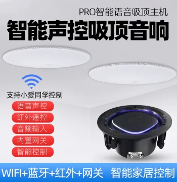 Audiophile Pro Xiao Ai Voice-Activated Ceiling Speaker with Song Selection, WiFi, Bluetooth, and Smart Home Control