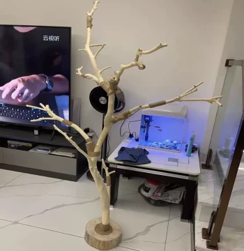 Bird Perch Stand, Branch Tree Trunk Parrot Perch, Natural Wood Stand, Forked Branch Swing, Bird Cage Solid Wood Lamp Stand, Driftwood