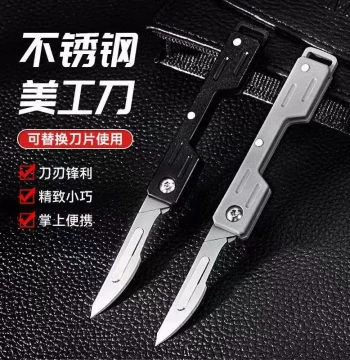 Stainless Steel Folding Utility Knife Keychain; Replaceable Blade Art and Fruit Knife for Outdoor Carry