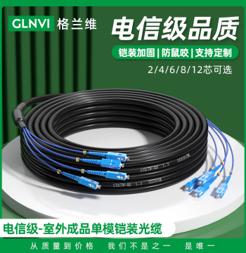 Granway Pre-Terminated Armored Outdoor Fiber Optic Cable GYXTW, 2/4/6/8/12 Core Single-Mode Aerial Cable, SC/FC/LC/ST Connectors, No Splicing Required, Customizable Outdoor Fiber Line