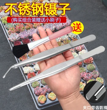 Thickened Stainless Steel Tweezers for Succulents, Flower Gardening Clips, Feeding Tweezers, Aquatic Plant Handcraft, Round Bent Tip, Extended Length