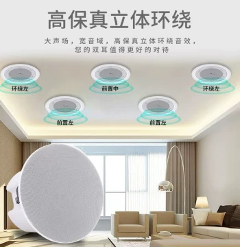 Genuine German Berlin Coaxial Ceiling Speaker Bluetooth Ceiling Mount Audio System Embedded Hotel Background Speakers