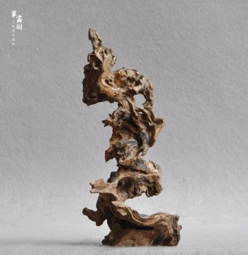 Natural Hard Driftwood with Unique Shapes for Micro-Landscape Decor, Tabletop Ornaments, and Indoor Soft Furnishings