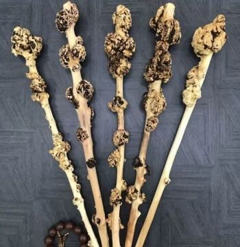 Yunnan Black Fruit Wood Handheld Roller, Back Massage Hammer, Wooden Cane, Natural Burl Wood Fitness Massager