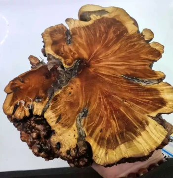 Pear Wood Base Slice Coaster Raw Wood Root Carving Ornament Solid Wood Strange Stone Yakuza Base Stand