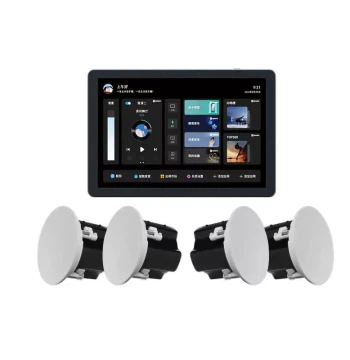 Whole-House Smart Home Background Music System Kit with HiVi Ceiling Speakers