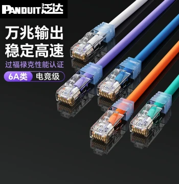 Panduit Cat6a UTP Thick Network Cable Router Home Broadband 10 Gigabit Connection Pre-made Extended 10m Cable