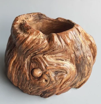 Natural Tree Root Carving Weathered Wood DIY Handmade Creative Retro Ornament Succulent High Oil Content Rosin Flower Pot Ashtray