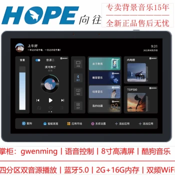 HOPE 4A Home Background Music Host System Kit: Embedded Ceiling Speakers, Smart 8-inch Absorption Horns