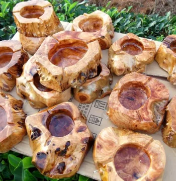 Solid Wood Pastoral Root Carving Ashtray Stone Base Ornament Living Room Hotel Tea House Burl Natural Shape Nationwide Free Shipping