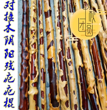 Duijie Wood Yin-Yang Scarred Stick - Mengzi Wood Jianglong Wood Outdoor Hiking Walking Cane Fitness Play Collection Wooden Stick