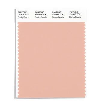 2024 New Color Edition 13-1307X to 14-3512X Cotton Swatch Card SWCD TCX Single Sheet Pantone Color Chip