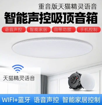 Bass-Enhanced Tmall Genie Ceiling Speaker: Wireless WiFi Bluetooth Audio with Voice Control for Smart Home