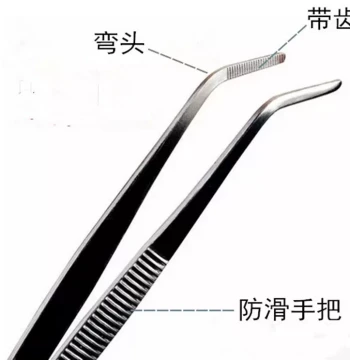 Stainless Steel Dental Forceps with Double Curved Tips and Positioning Guide for Oral Examination