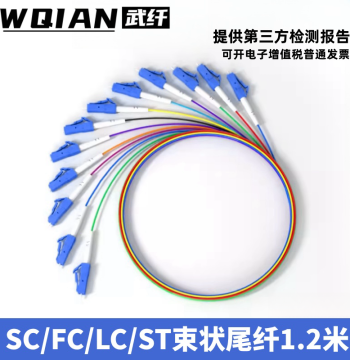 Wuxian 12-Core SC Bundled Pigtail Single-Mode Fiber Optic Patch Cord LC/FC/SC/ST 12-Core Bundle for Internal Fusion Splicing in Terminal Boxes and Patch Panels