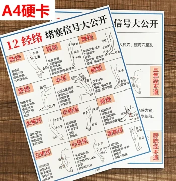 TCM 12 Meridians Blockage Signal Complete Guide Blockage Corresponding Symptoms Improvement Dredging Massage Techniques Thickened Notebook