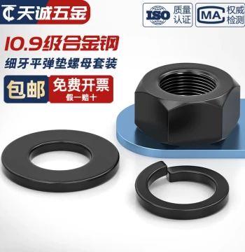Grade 10.9 Fine Thread Hex Nut, Flat Washer, and Spring Washer Assortment Kit